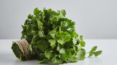 garnishing-instructions-image